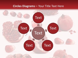 Half Core Arils PowerPoint Template