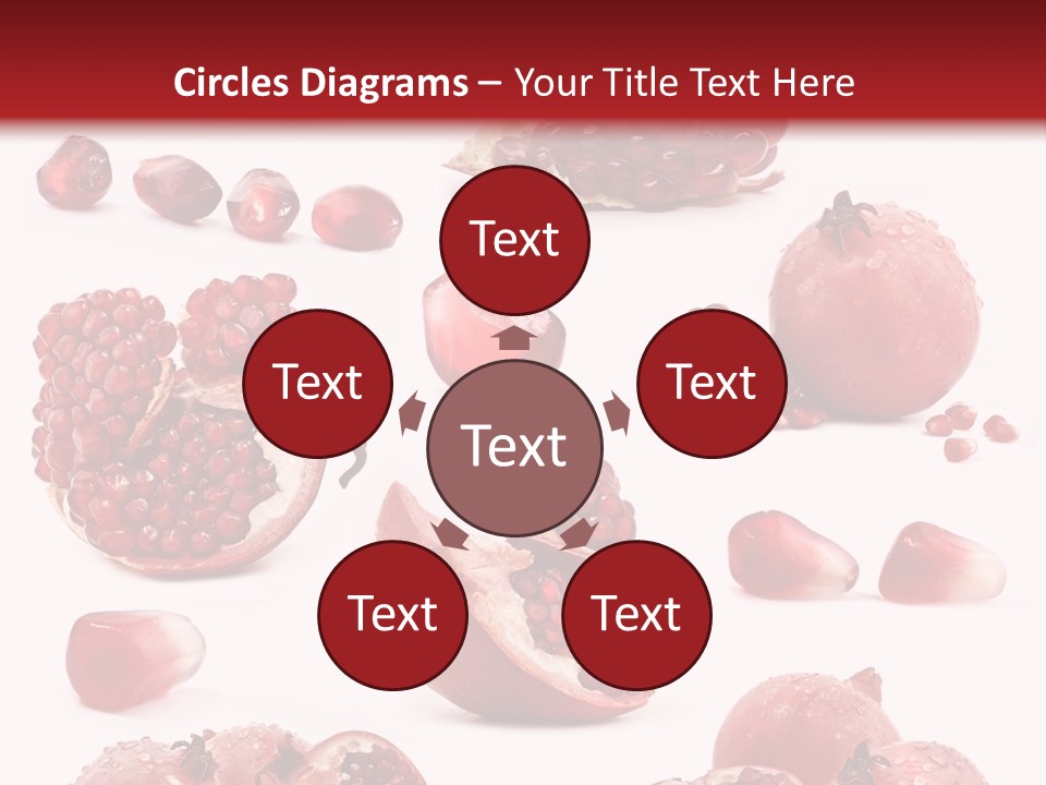 Half Core Arils PowerPoint Template