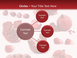 Half Core Arils PowerPoint Template