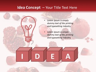 Half Core Arils PowerPoint Template
