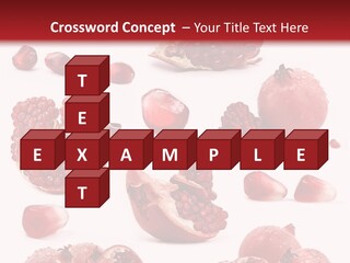 Half Core Arils PowerPoint Template