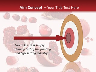 Half Core Arils PowerPoint Template