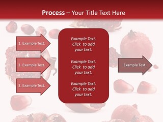 Half Core Arils PowerPoint Template