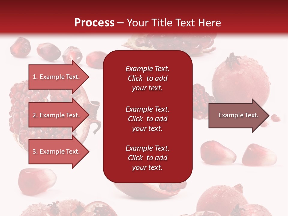 Half Core Arils PowerPoint Template