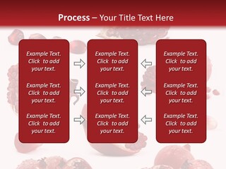Half Core Arils PowerPoint Template