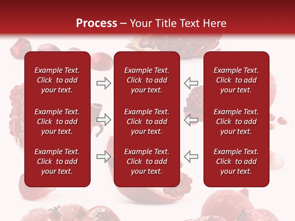 Half Core Arils PowerPoint Template