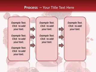Half Core Arils PowerPoint Template