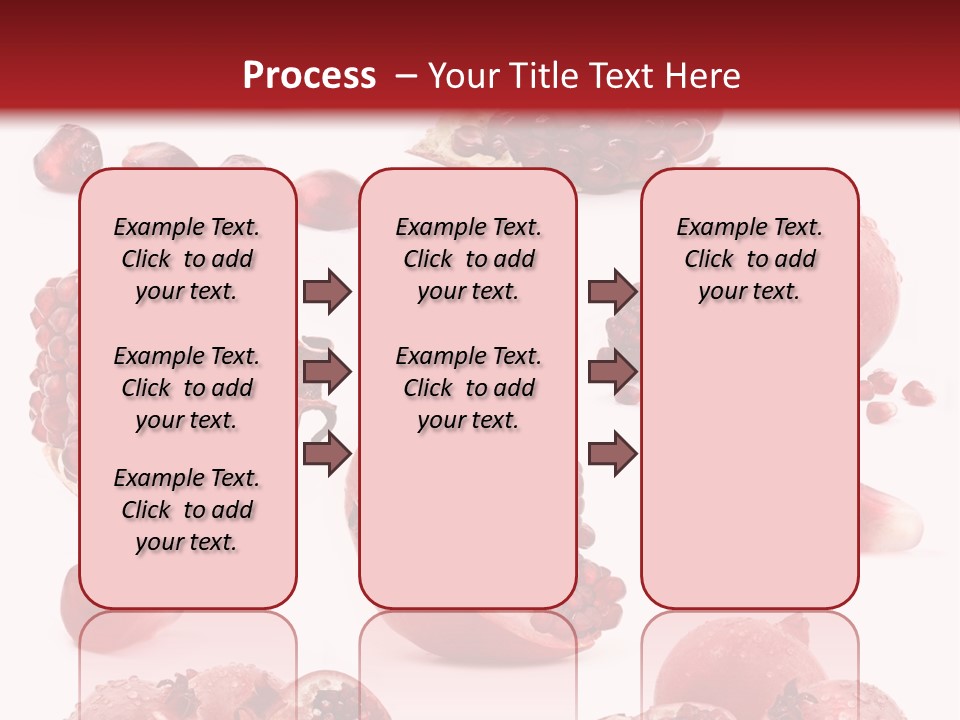 Half Core Arils PowerPoint Template