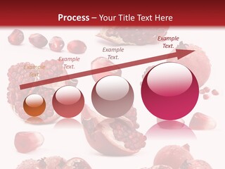 Half Core Arils PowerPoint Template