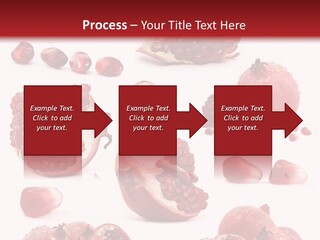 Half Core Arils PowerPoint Template