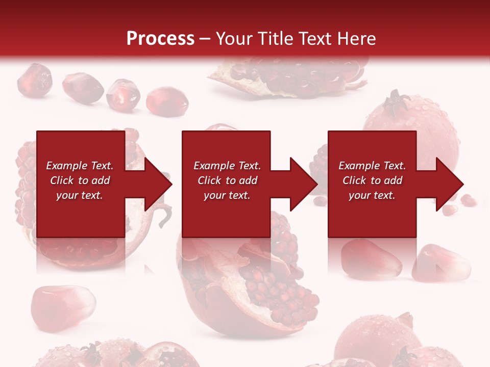 Half Core Arils PowerPoint Template