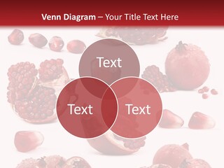 Half Core Arils PowerPoint Template