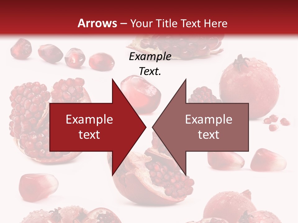 Half Core Arils PowerPoint Template
