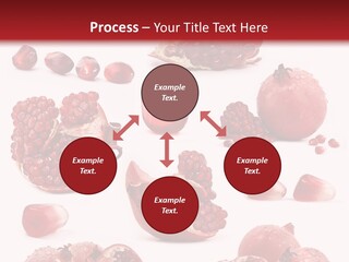 Half Core Arils PowerPoint Template