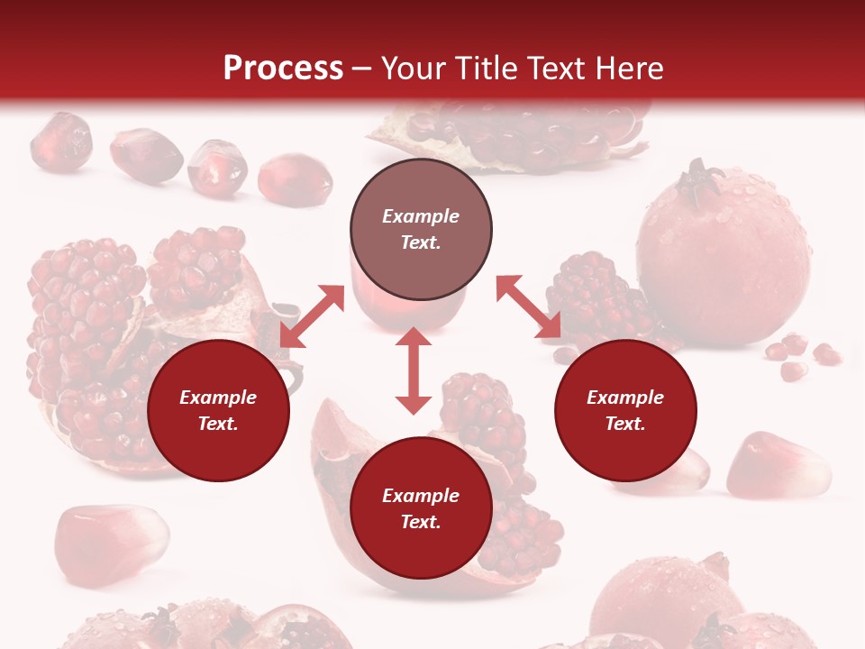 Half Core Arils PowerPoint Template