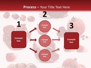 Half Core Arils PowerPoint Template