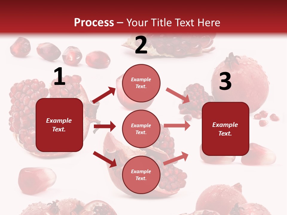 Half Core Arils PowerPoint Template