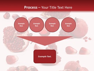 Half Core Arils PowerPoint Template