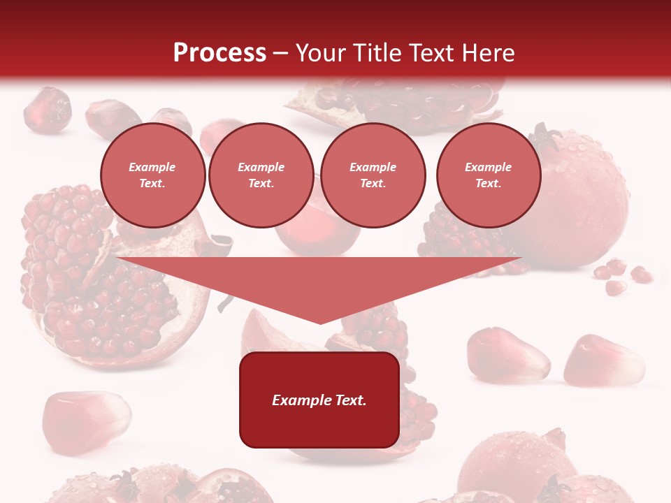 Half Core Arils PowerPoint Template