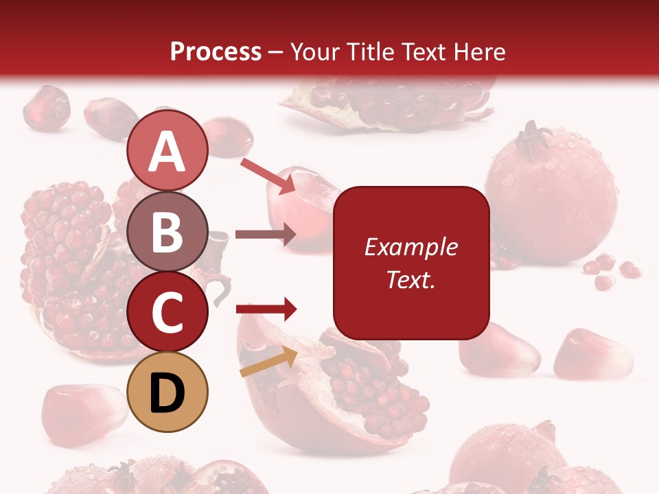 Half Core Arils PowerPoint Template