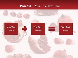Half Core Arils PowerPoint Template