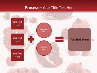 Half Core Arils PowerPoint Template