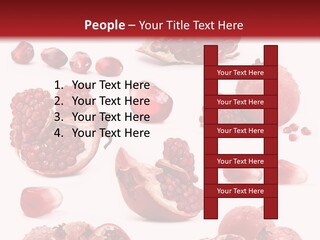Half Core Arils PowerPoint Template