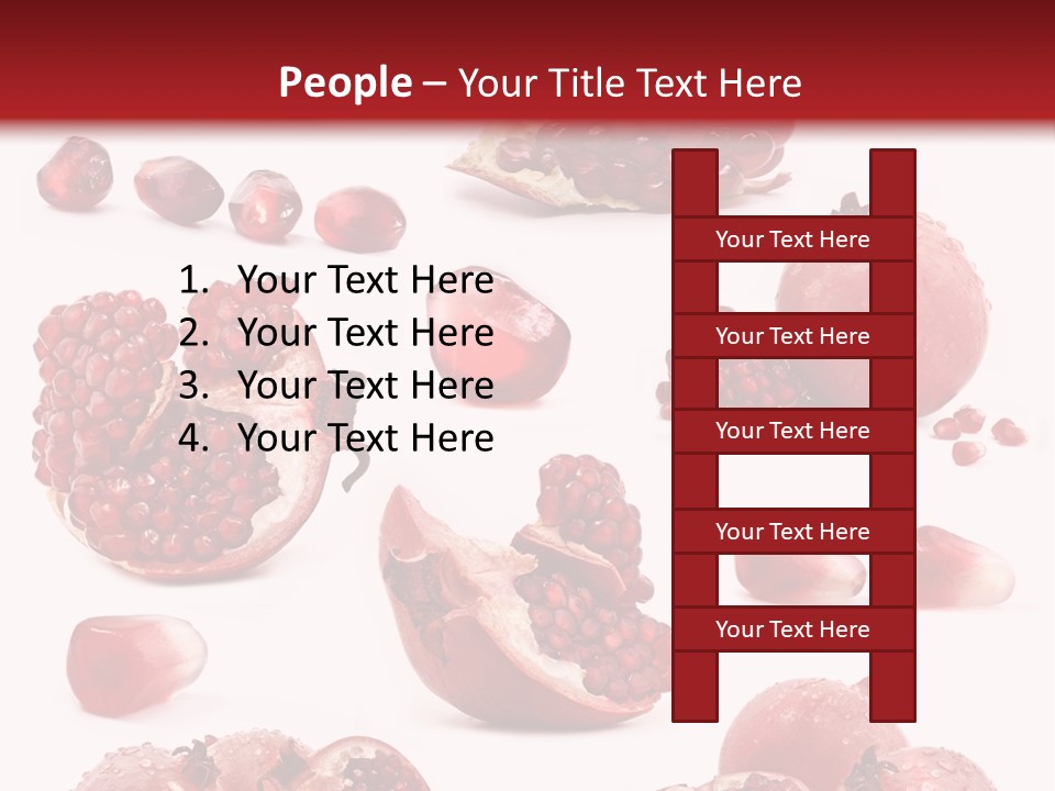 Half Core Arils PowerPoint Template