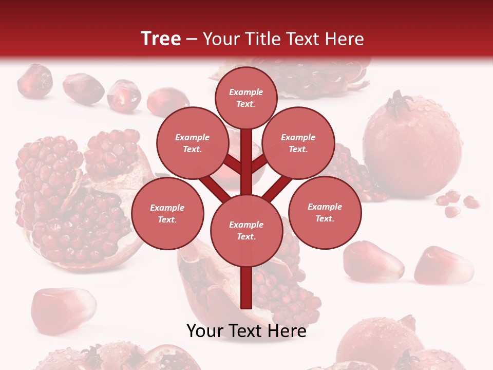 Half Core Arils PowerPoint Template