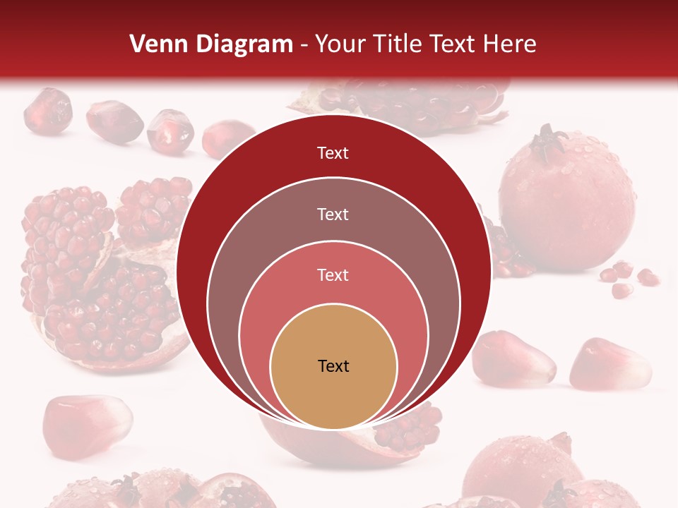 Half Core Arils PowerPoint Template