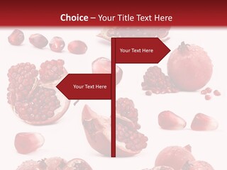 Half Core Arils PowerPoint Template