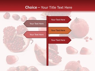 Half Core Arils PowerPoint Template