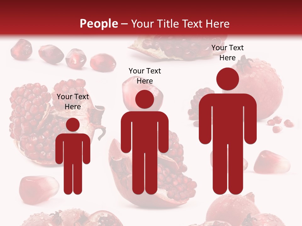 Half Core Arils PowerPoint Template