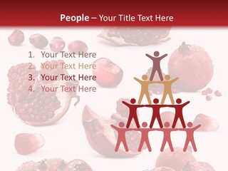 Half Core Arils PowerPoint Template