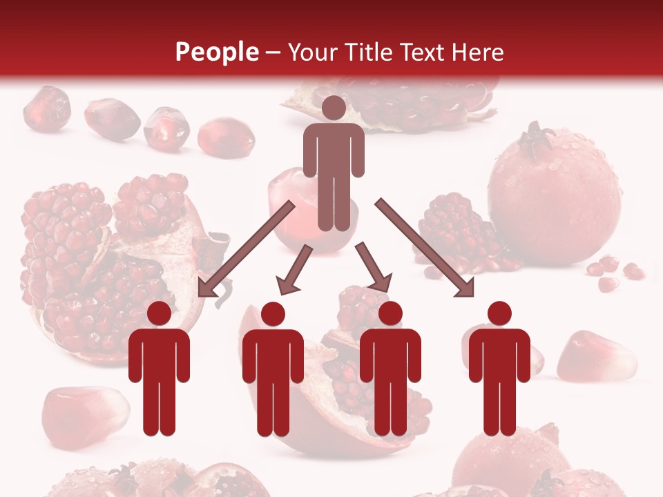 Half Core Arils PowerPoint Template