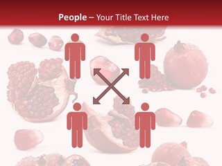 Half Core Arils PowerPoint Template