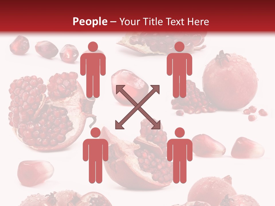 Half Core Arils PowerPoint Template