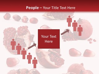 Half Core Arils PowerPoint Template