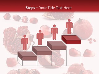 Half Core Arils PowerPoint Template