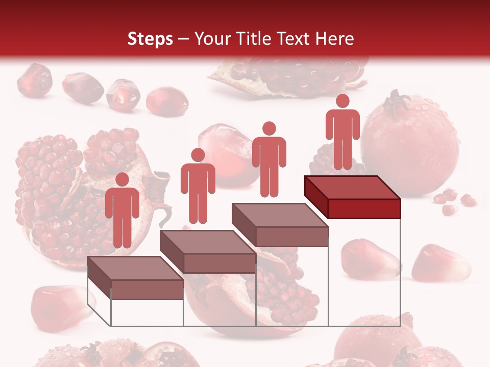 Half Core Arils PowerPoint Template