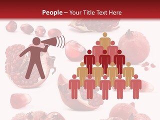 Half Core Arils PowerPoint Template