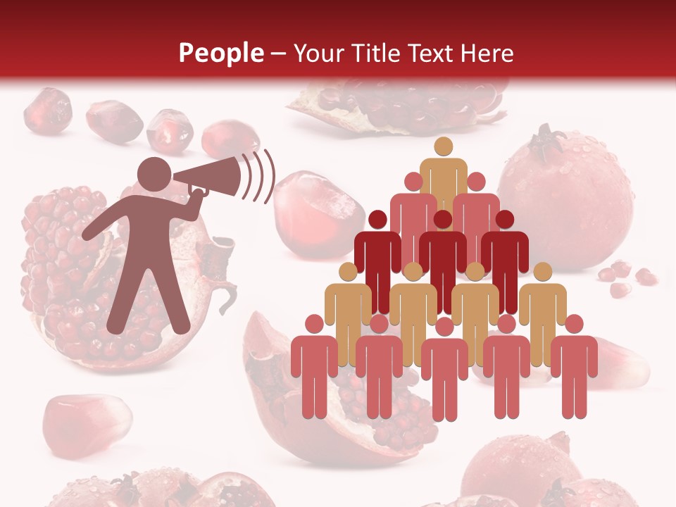 Half Core Arils PowerPoint Template