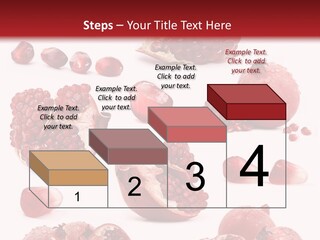 Half Core Arils PowerPoint Template