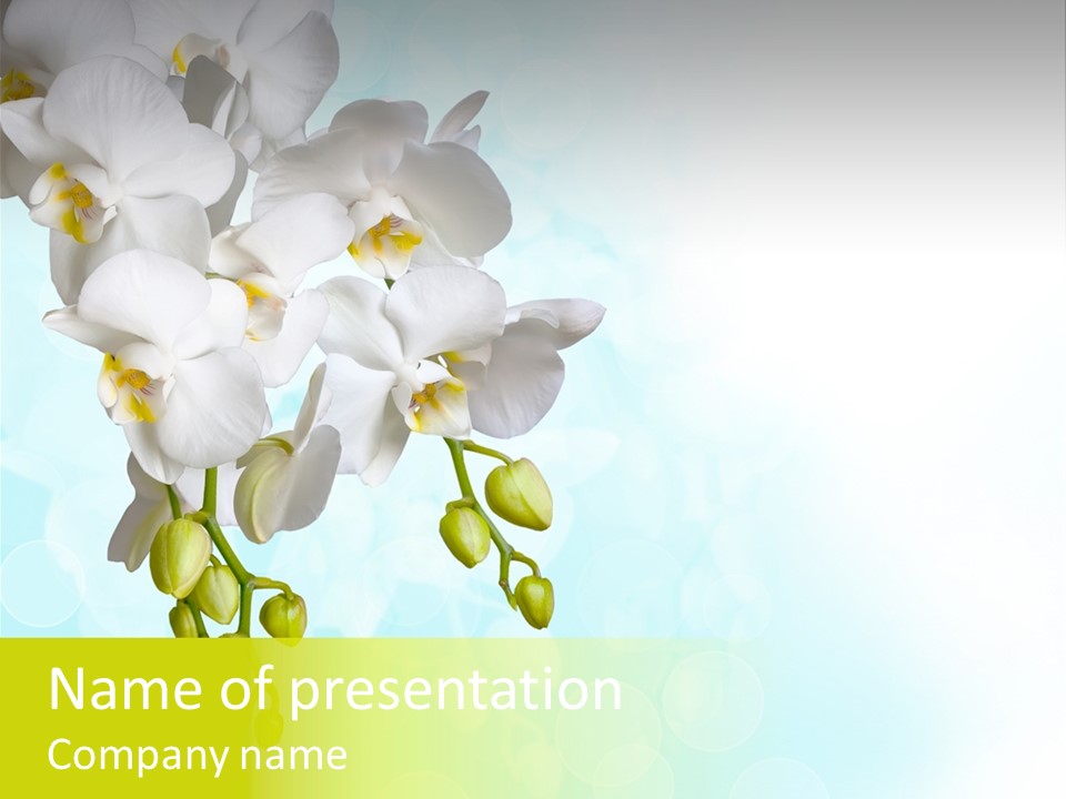 Exotic Flora Plant PowerPoint Template