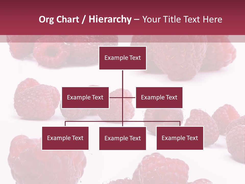 Drops Vegetarian Raspberry PowerPoint Template