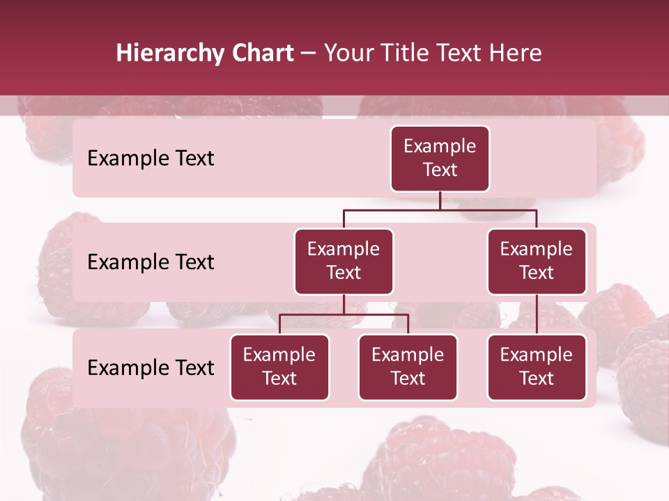Drops Vegetarian Raspberry PowerPoint Template