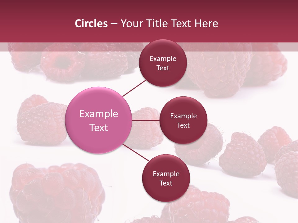 Drops Vegetarian Raspberry PowerPoint Template
