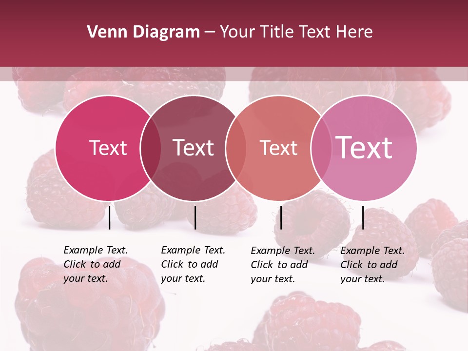 Drops Vegetarian Raspberry PowerPoint Template