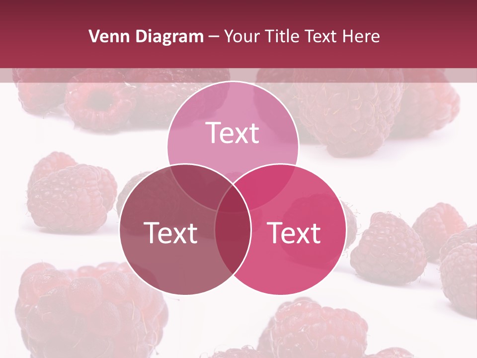 Drops Vegetarian Raspberry PowerPoint Template