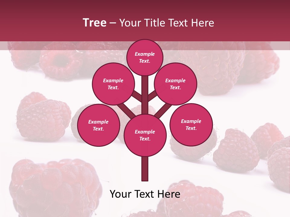 Drops Vegetarian Raspberry PowerPoint Template
